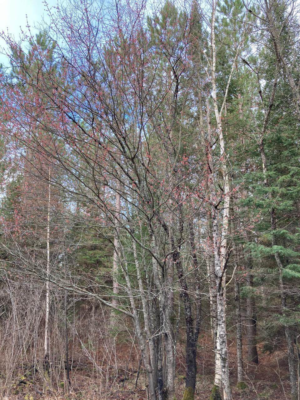 ON 2ND AVE - Photo 1