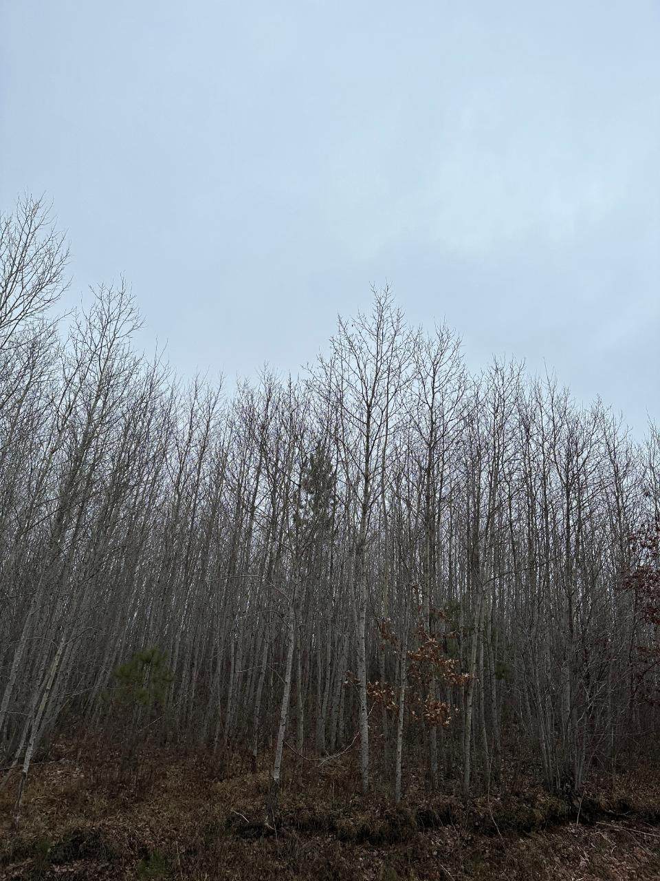 ON Prairie Lake Rd - Photo 1