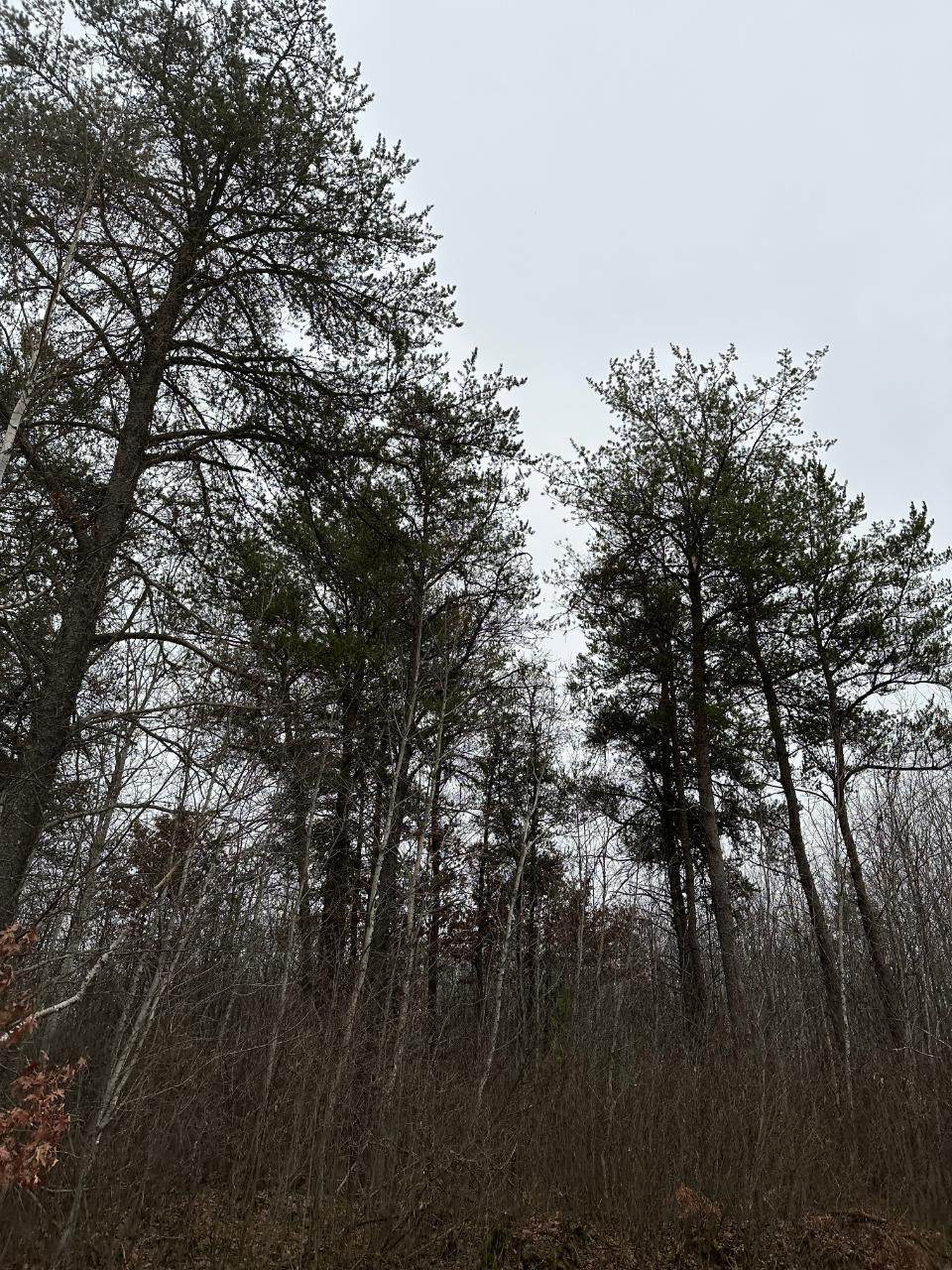 ON Prairie Lake Rd - Photo 1