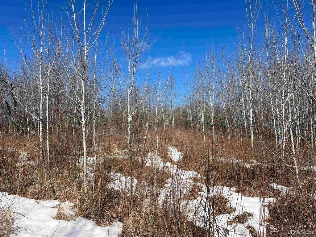 https://bt-photos.global.ssl.fastly.net/northwoods/orig_boomver_1_215710-2.jpg