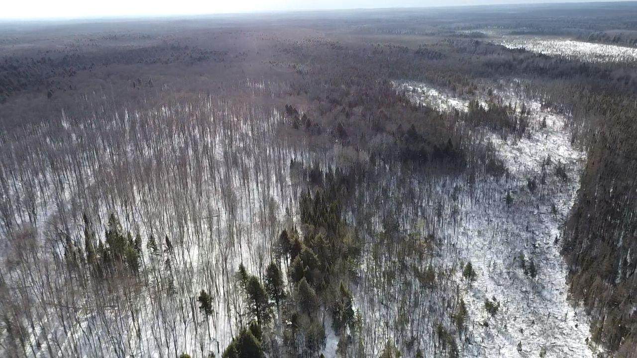 https://bt-photos.global.ssl.fastly.net/northwoods/orig_boomver_1_215921-2.jpg