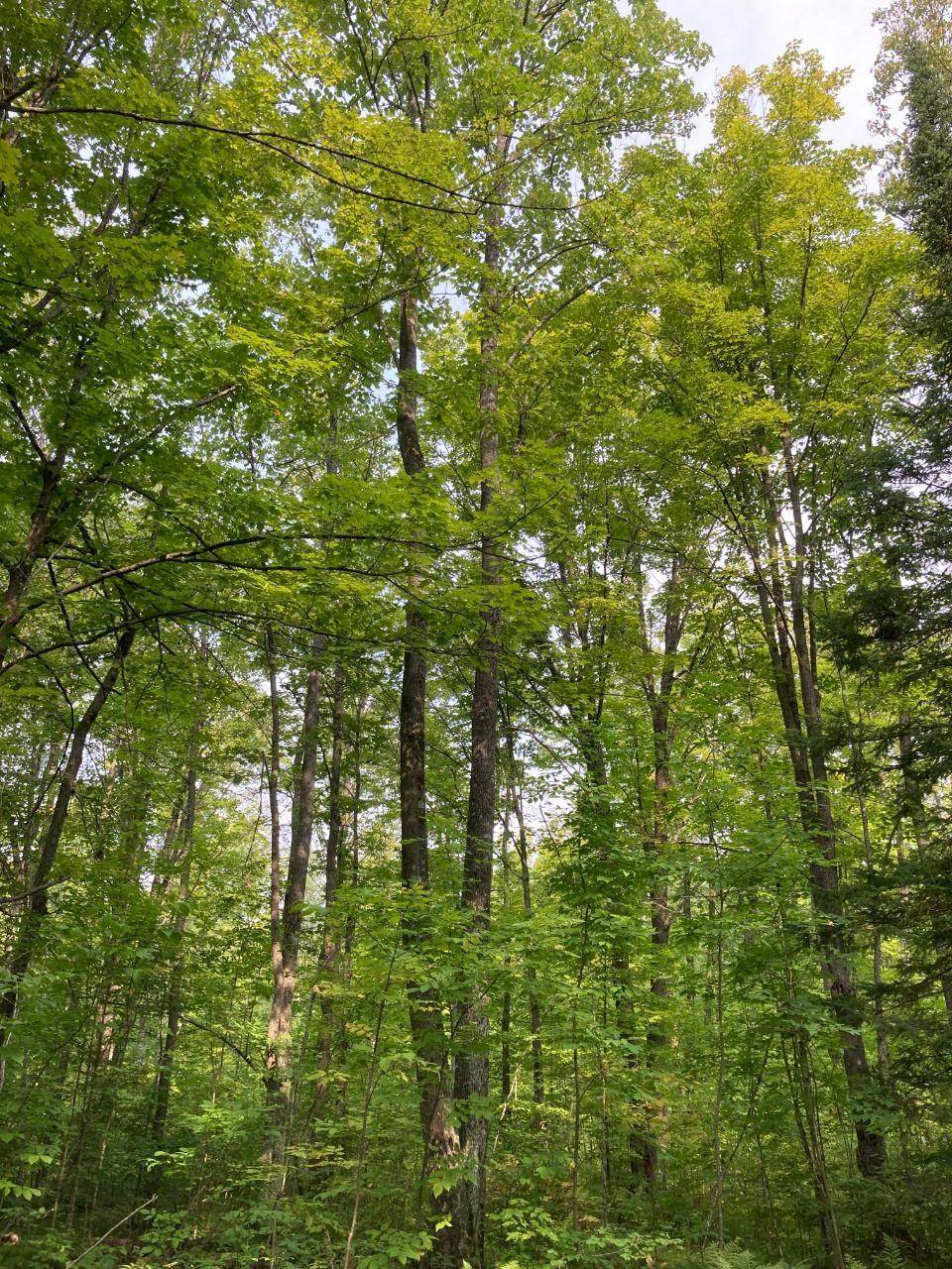 ON Hwy 52 - Photo 1