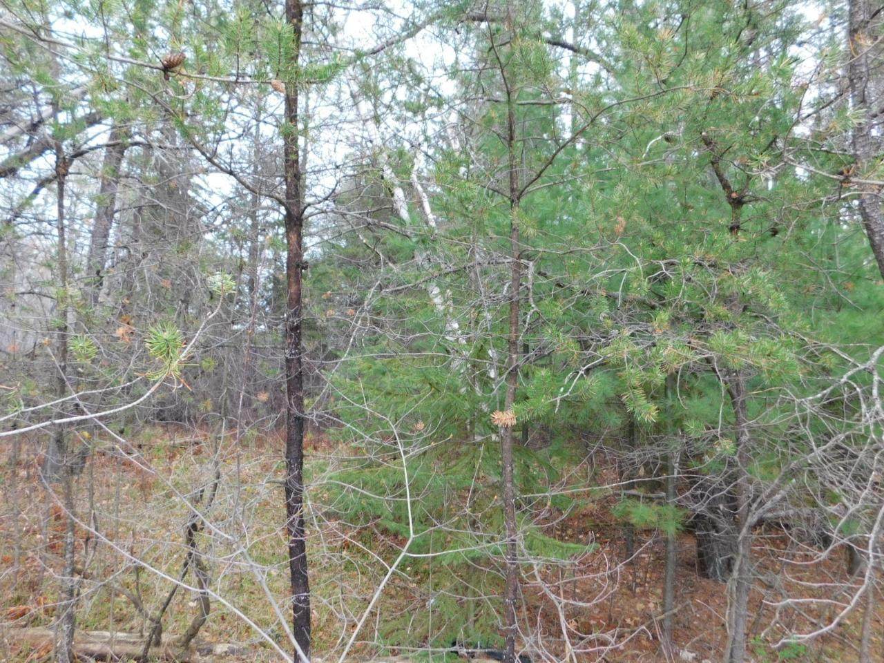 https://bt-photos.global.ssl.fastly.net/northwoods/orig_boomver_1_216177-2.jpg