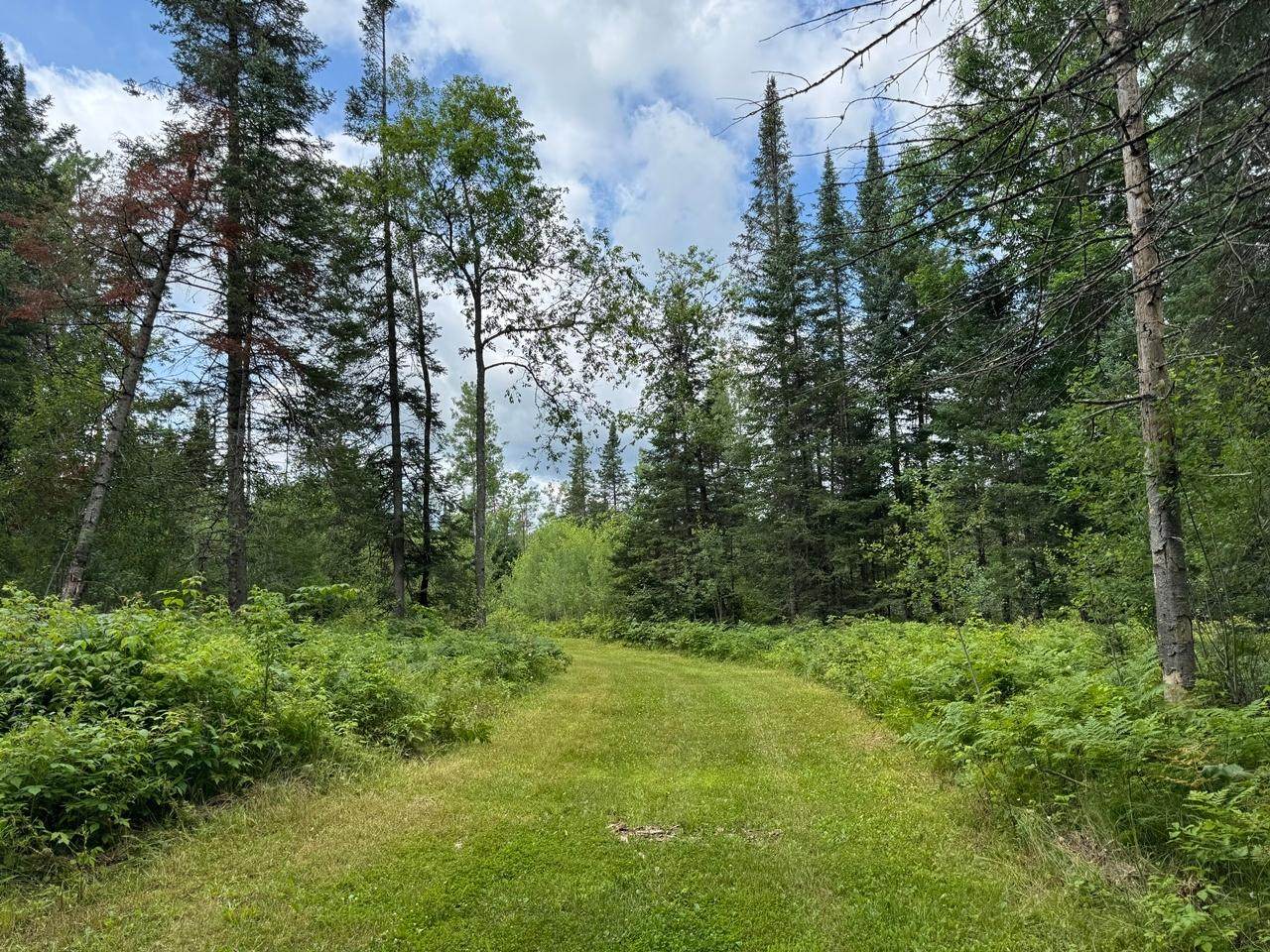 https://bt-photos.global.ssl.fastly.net/northwoods/orig_boomver_1_216179-2.jpg