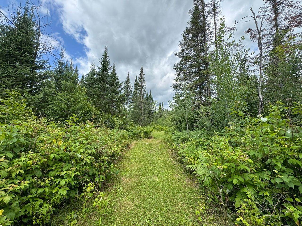 https://bt-photos.global.ssl.fastly.net/northwoods/orig_boomver_1_216179-2.jpg