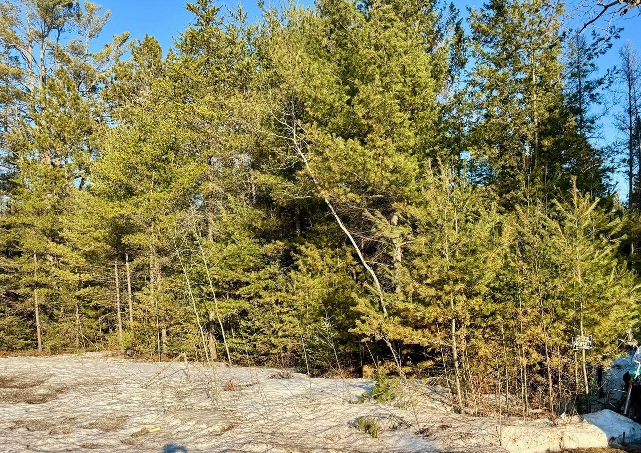4788 Hwy 17 - Photo 1