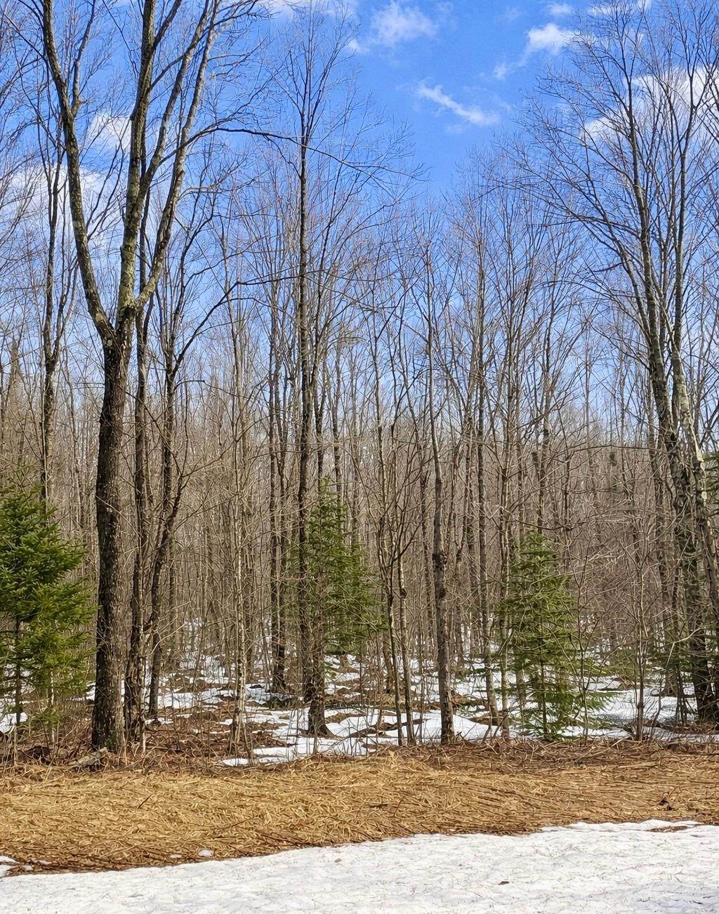 https://bt-photos.global.ssl.fastly.net/northwoods/orig_boomver_1_216341-2.jpg