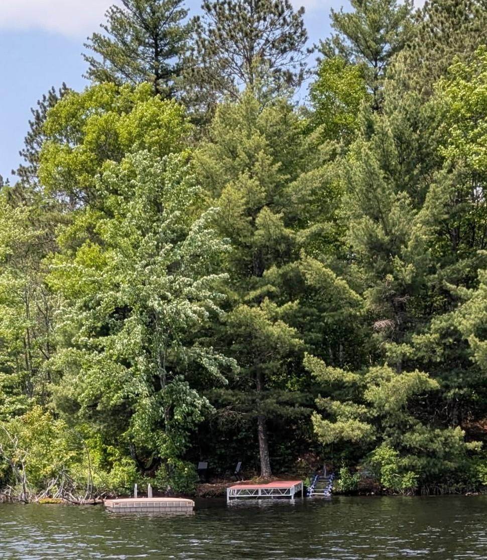 https://bt-photos.global.ssl.fastly.net/northwoods/orig_boomver_1_216351-2.jpg
