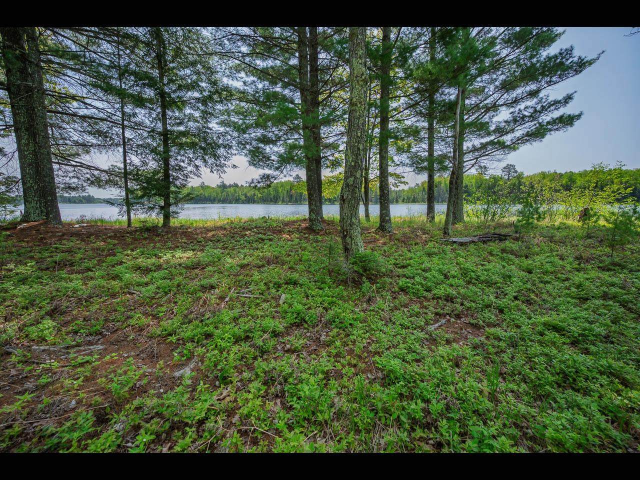 https://bt-photos.global.ssl.fastly.net/northwoods/orig_boomver_1_216364-2.jpg