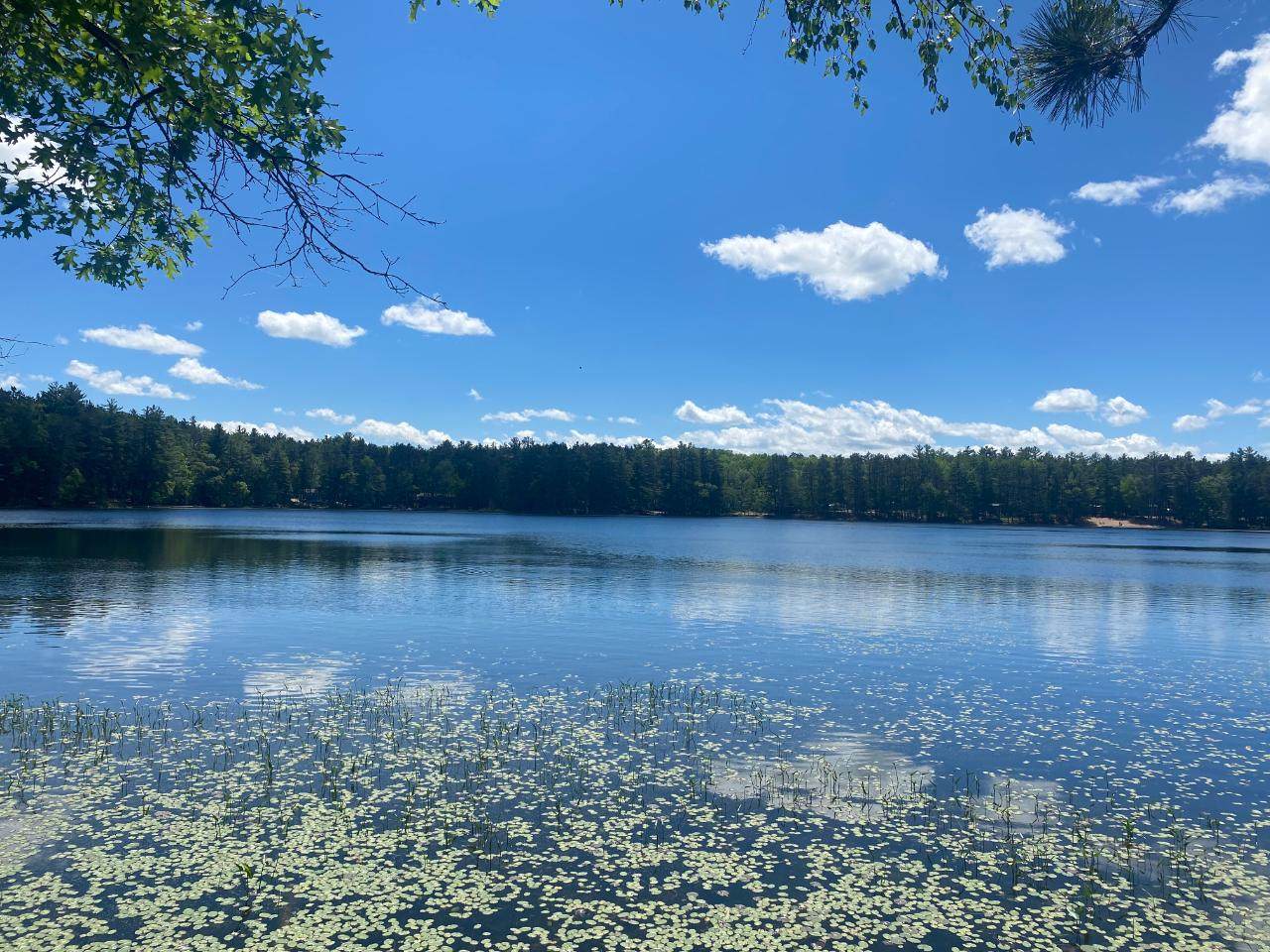 https://bt-photos.global.ssl.fastly.net/northwoods/1280_boomver_1_216466-2.jpg