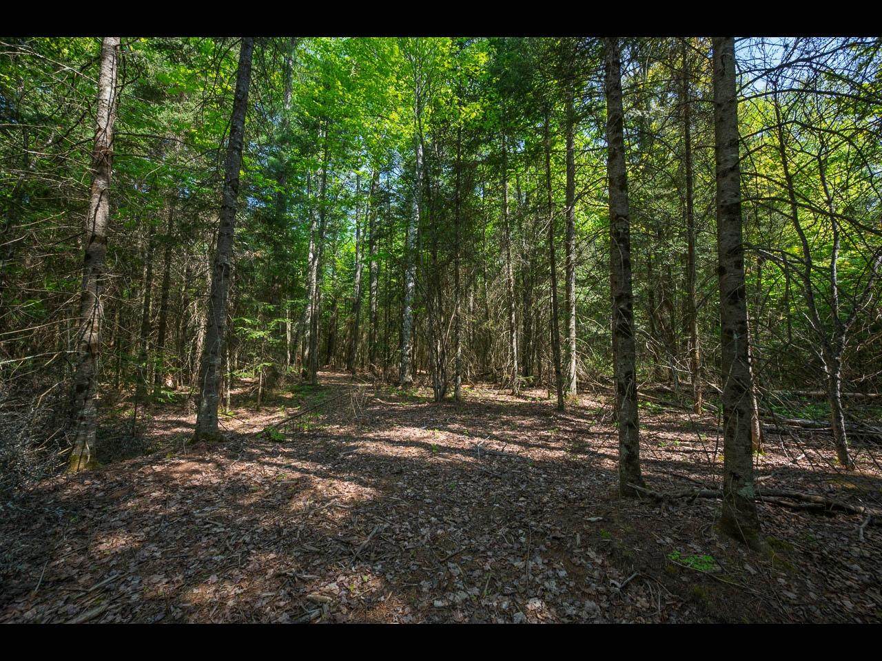 https://bt-photos.global.ssl.fastly.net/northwoods/orig_boomver_1_216490-2.jpg