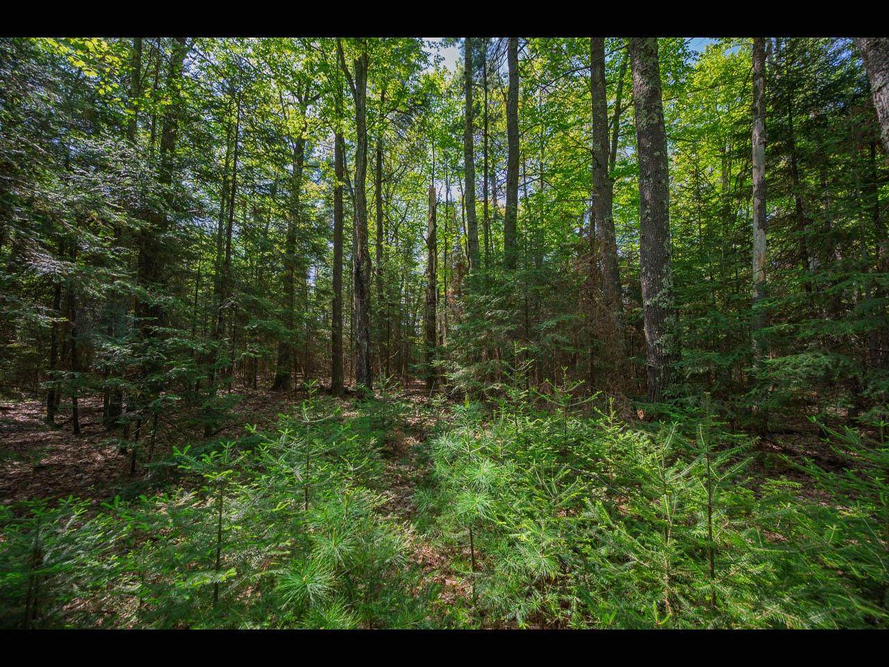 https://bt-photos.global.ssl.fastly.net/northwoods/orig_boomver_1_216721-2.jpg