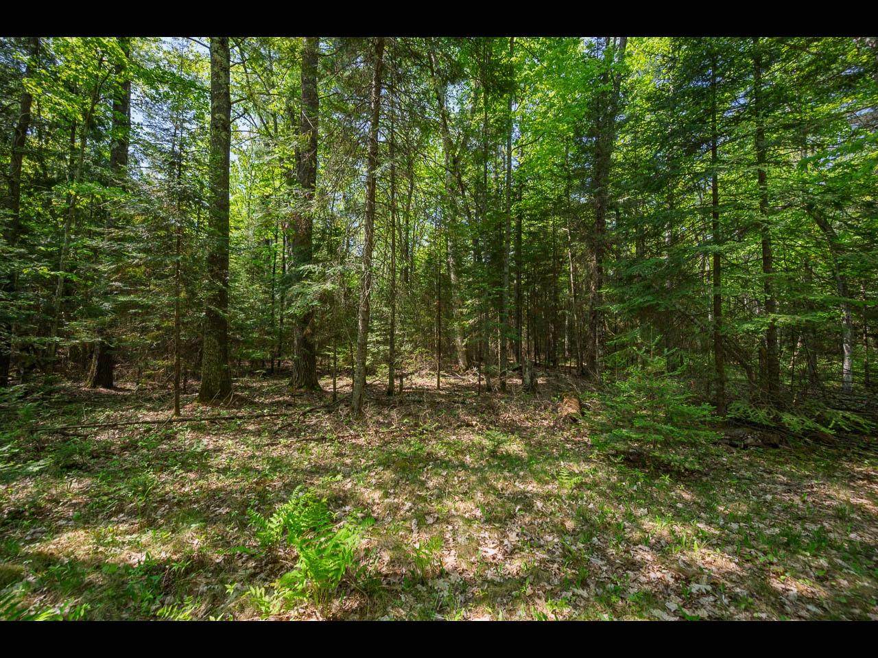 https://bt-photos.global.ssl.fastly.net/northwoods/orig_boomver_1_216737-2.jpg