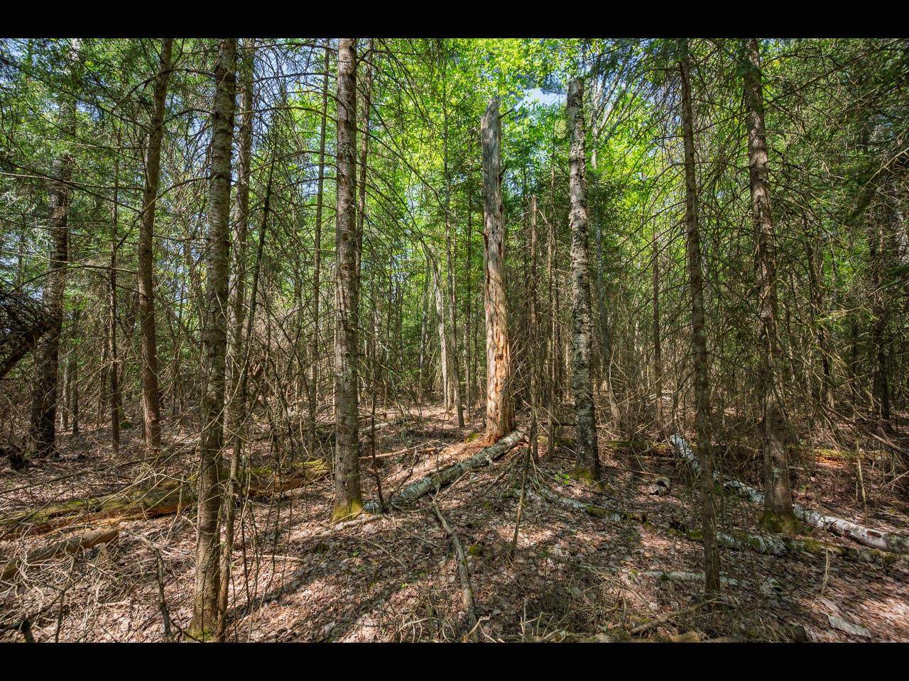 https://bt-photos.global.ssl.fastly.net/northwoods/orig_boomver_1_216737-2.jpg