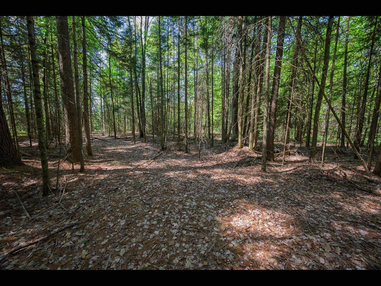 https://bt-photos.global.ssl.fastly.net/northwoods/orig_boomver_1_216752-2.jpg