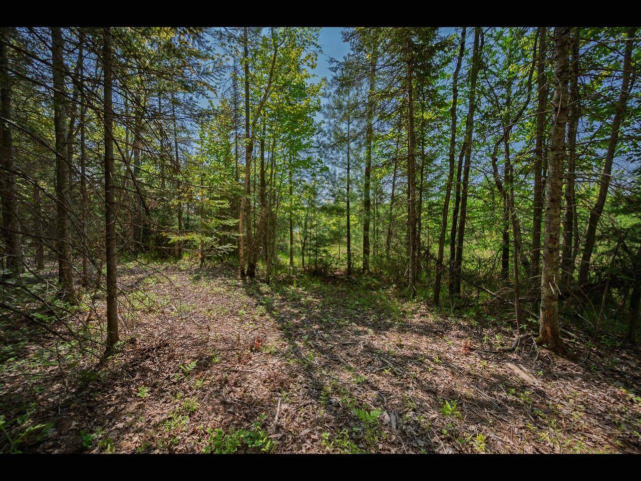 https://bt-photos.global.ssl.fastly.net/northwoods/orig_boomver_1_216752-2.jpg