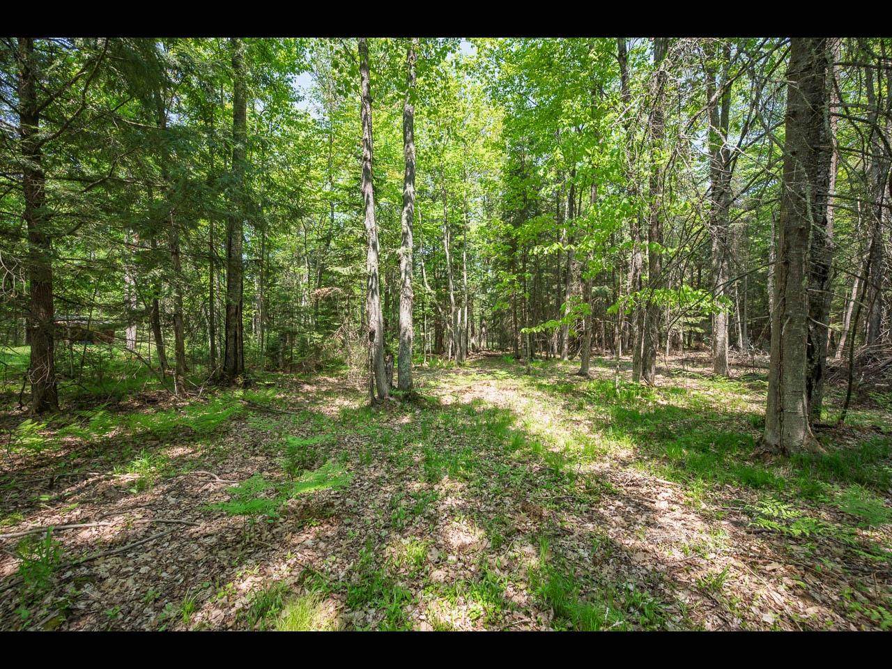 https://bt-photos.global.ssl.fastly.net/northwoods/orig_boomver_1_216806-2.jpg