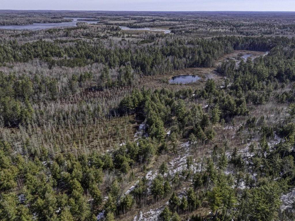 Off Natural Springs Rd - Photo 1