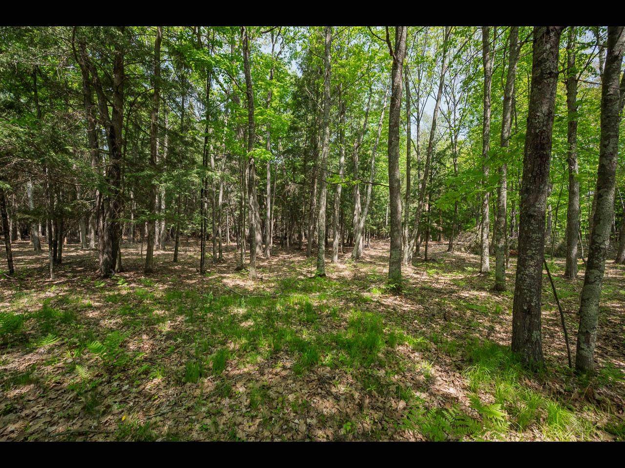 https://bt-photos.global.ssl.fastly.net/northwoods/orig_boomver_1_216927-2.jpg