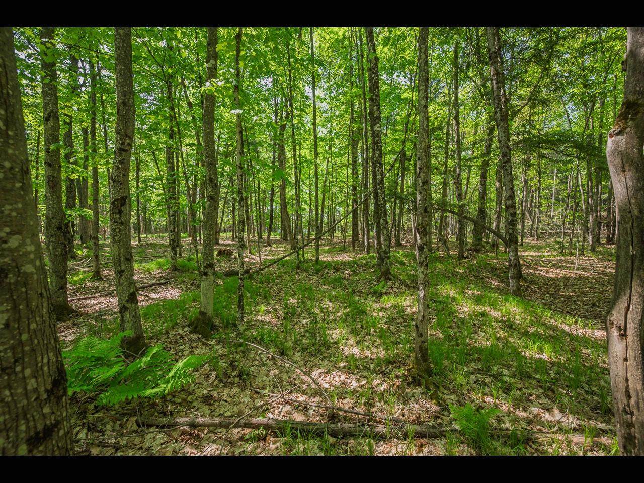Lot 23 Bonita Pt - Photo 1