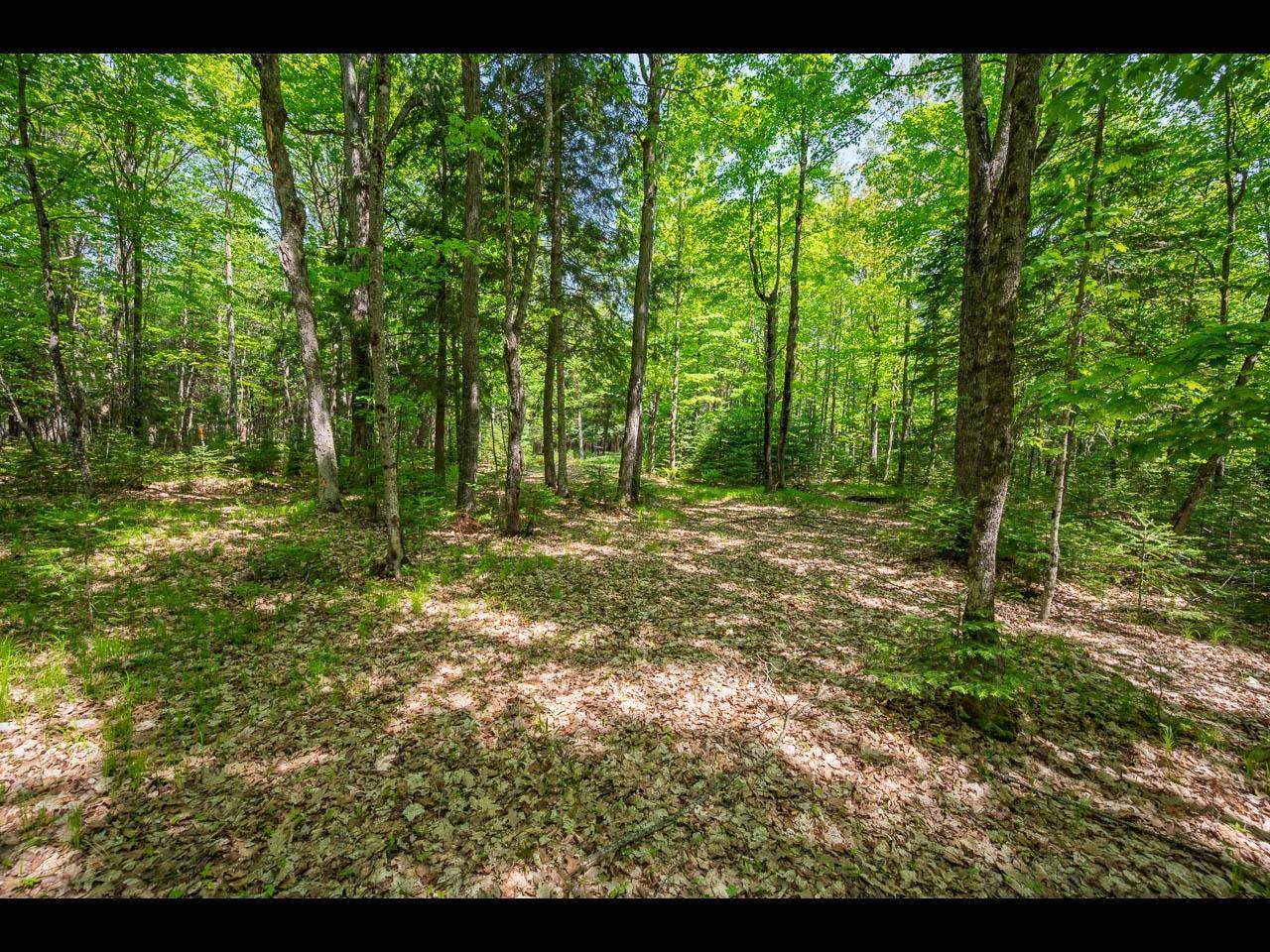 https://bt-photos.global.ssl.fastly.net/northwoods/orig_boomver_1_216934-2.jpg