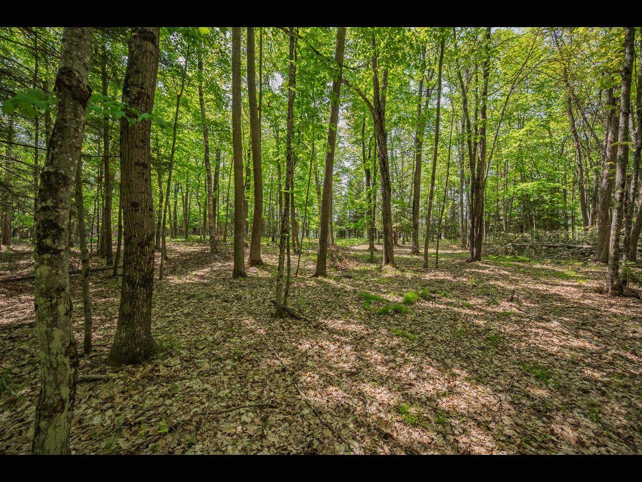 https://bt-photos.global.ssl.fastly.net/northwoods/orig_boomver_1_216934-2.jpg