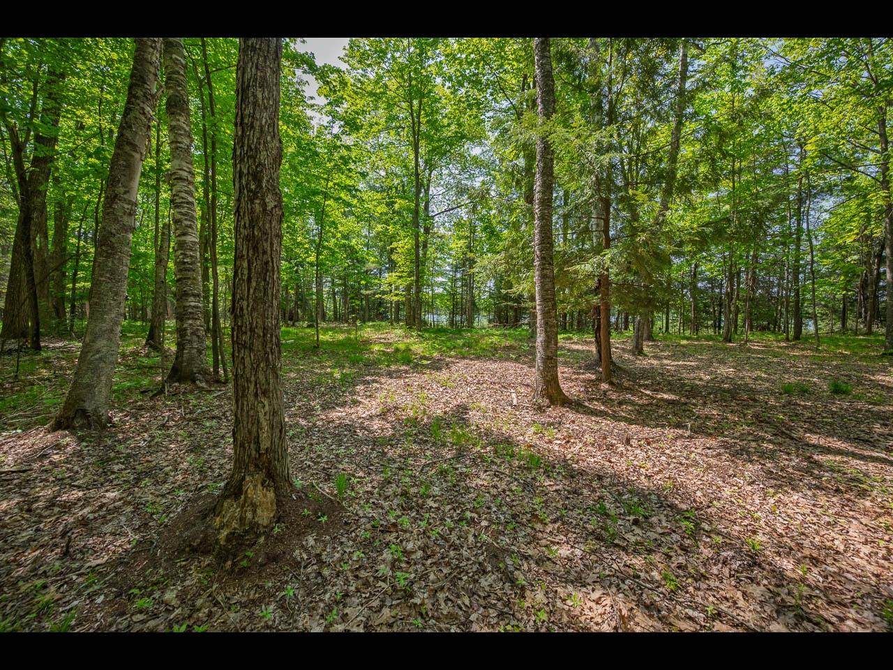 https://bt-photos.global.ssl.fastly.net/northwoods/orig_boomver_1_216934-2.jpg