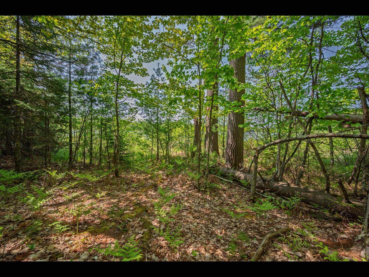 https://bt-photos.global.ssl.fastly.net/northwoods/orig_boomver_1_216971-2.jpg