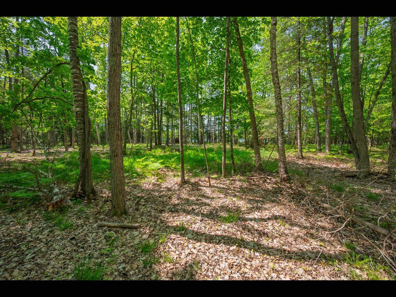 https://bt-photos.global.ssl.fastly.net/northwoods/orig_boomver_1_216971-2.jpg