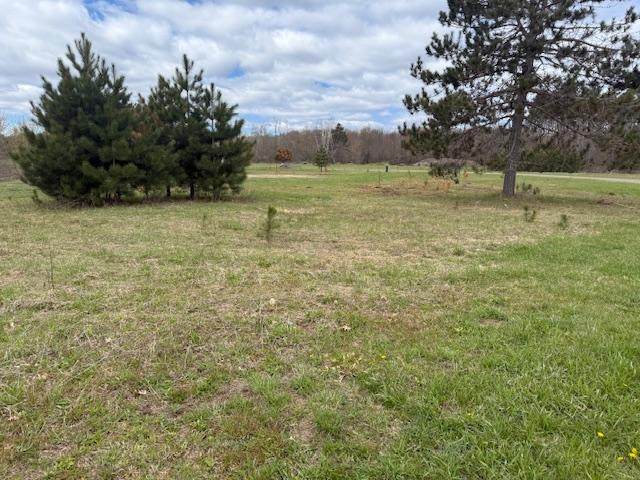Lot 19 Pineview St - Photo 1