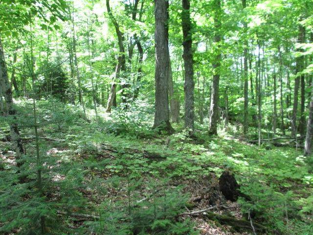 https://bt-photos.global.ssl.fastly.net/northwoods/orig_boomver_1_217112-2.jpg