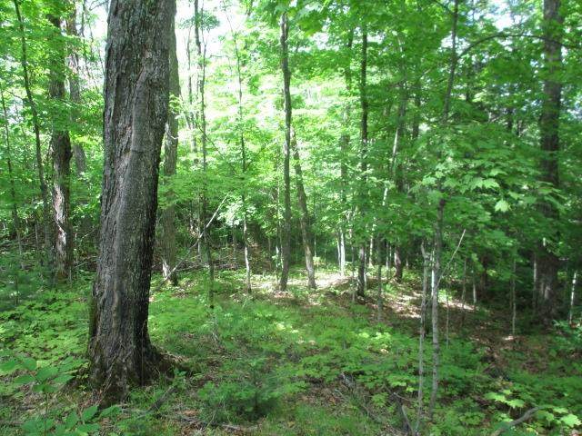 https://bt-photos.global.ssl.fastly.net/northwoods/orig_boomver_1_217112-2.jpg