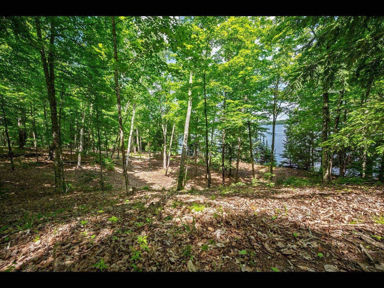 https://bt-photos.global.ssl.fastly.net/northwoods/orig_boomver_1_217173-2.jpg