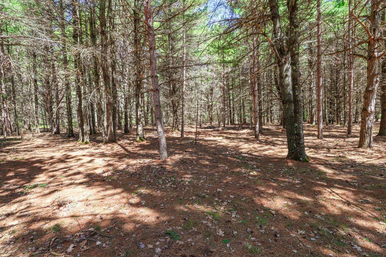https://bt-photos.global.ssl.fastly.net/northwoods/orig_boomver_1_217194-2.jpg