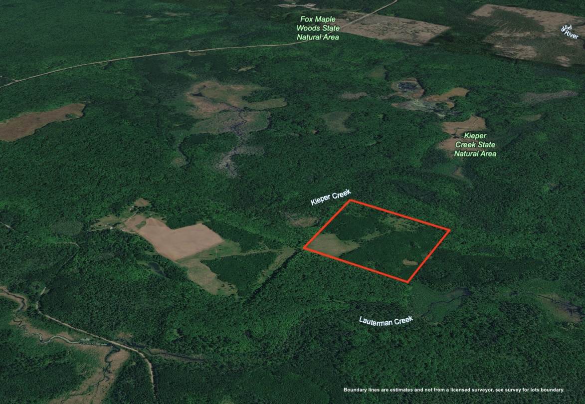 Lot on Forest Road 2154 - Photo 1
