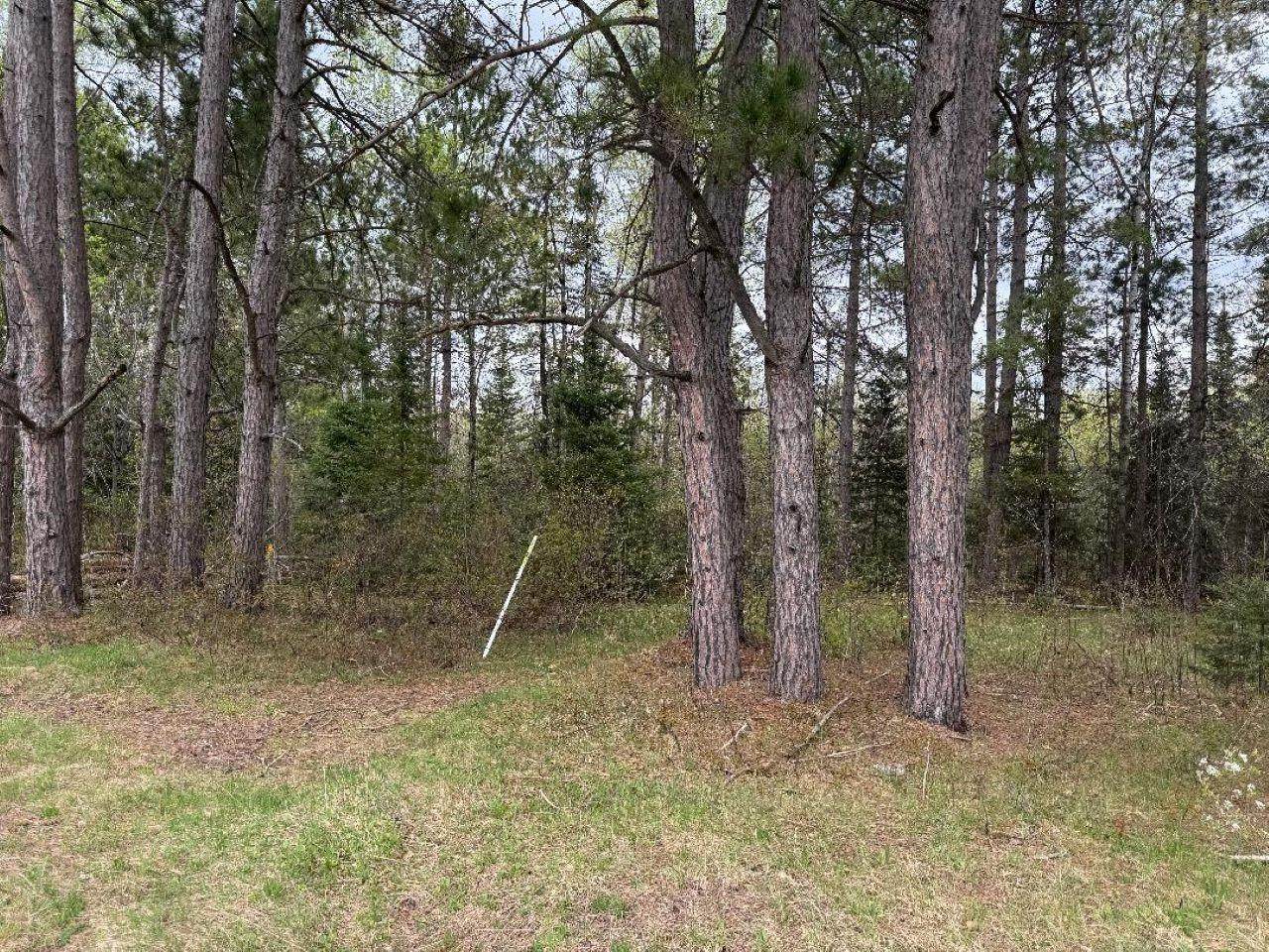 LOT ON Hwy 51 - Photo 1