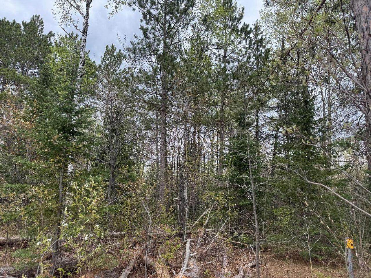 https://bt-photos.global.ssl.fastly.net/northwoods/orig_boomver_1_217229-2.jpg