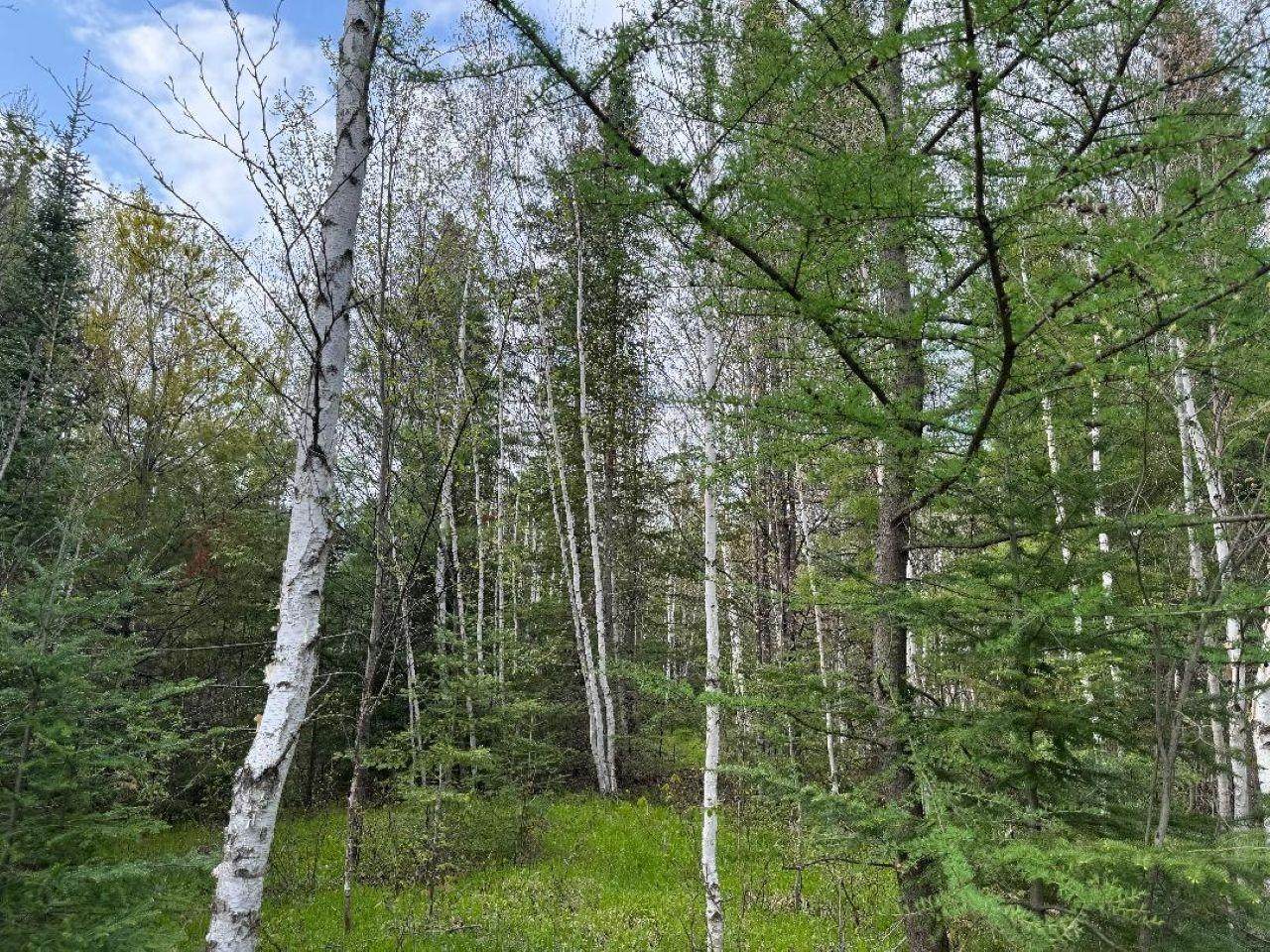 https://bt-photos.global.ssl.fastly.net/northwoods/orig_boomver_1_217233-2.jpg