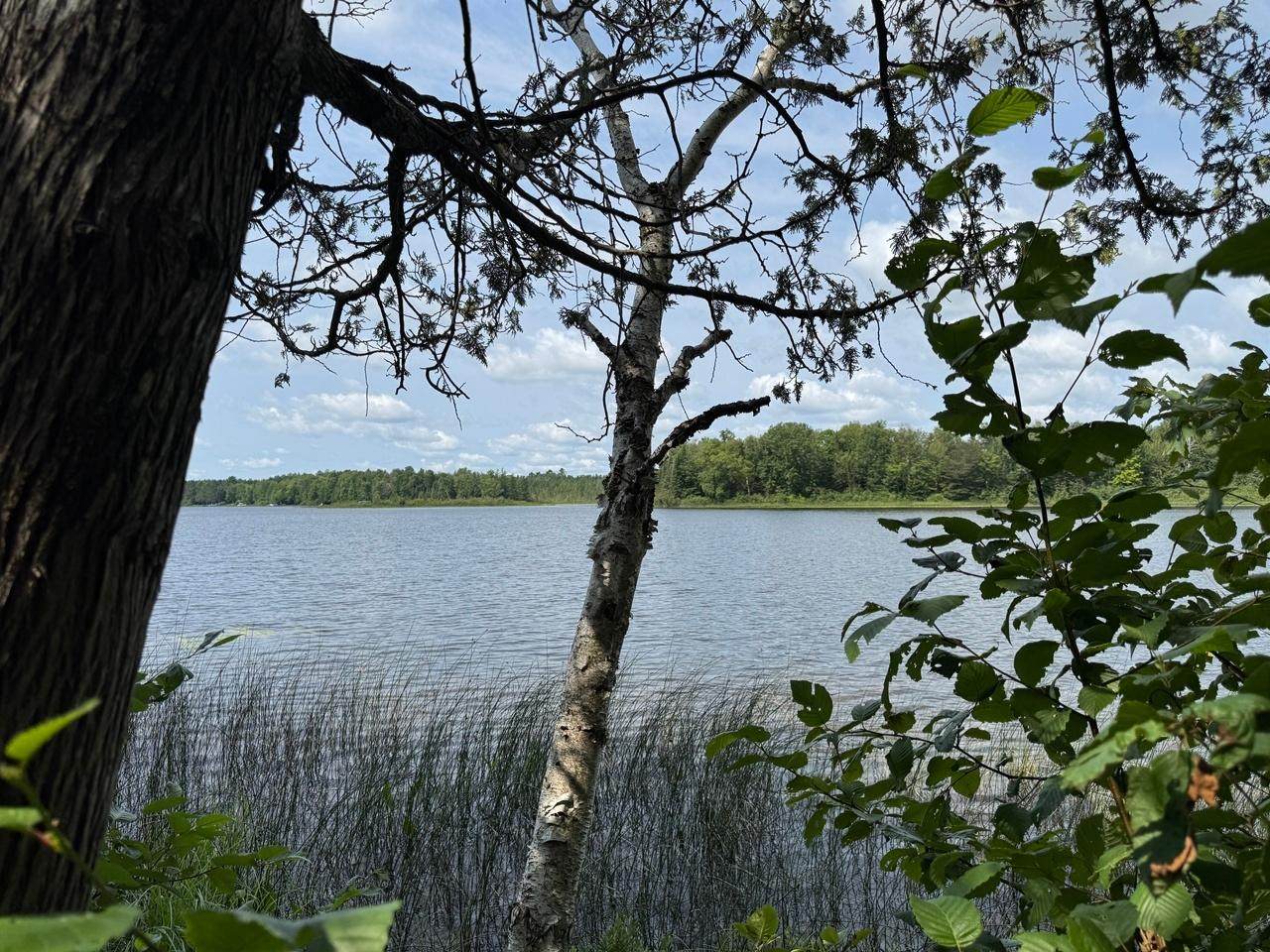 https://bt-photos.global.ssl.fastly.net/northwoods/orig_boomver_1_217297-2.jpg