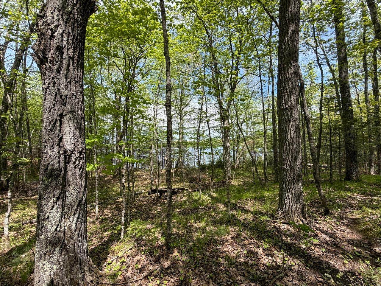 https://bt-photos.global.ssl.fastly.net/northwoods/orig_boomver_1_217392-2.jpg