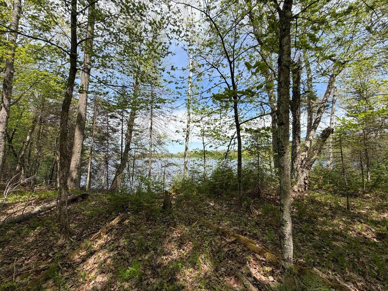 https://bt-photos.global.ssl.fastly.net/northwoods/orig_boomver_1_217392-2.jpg