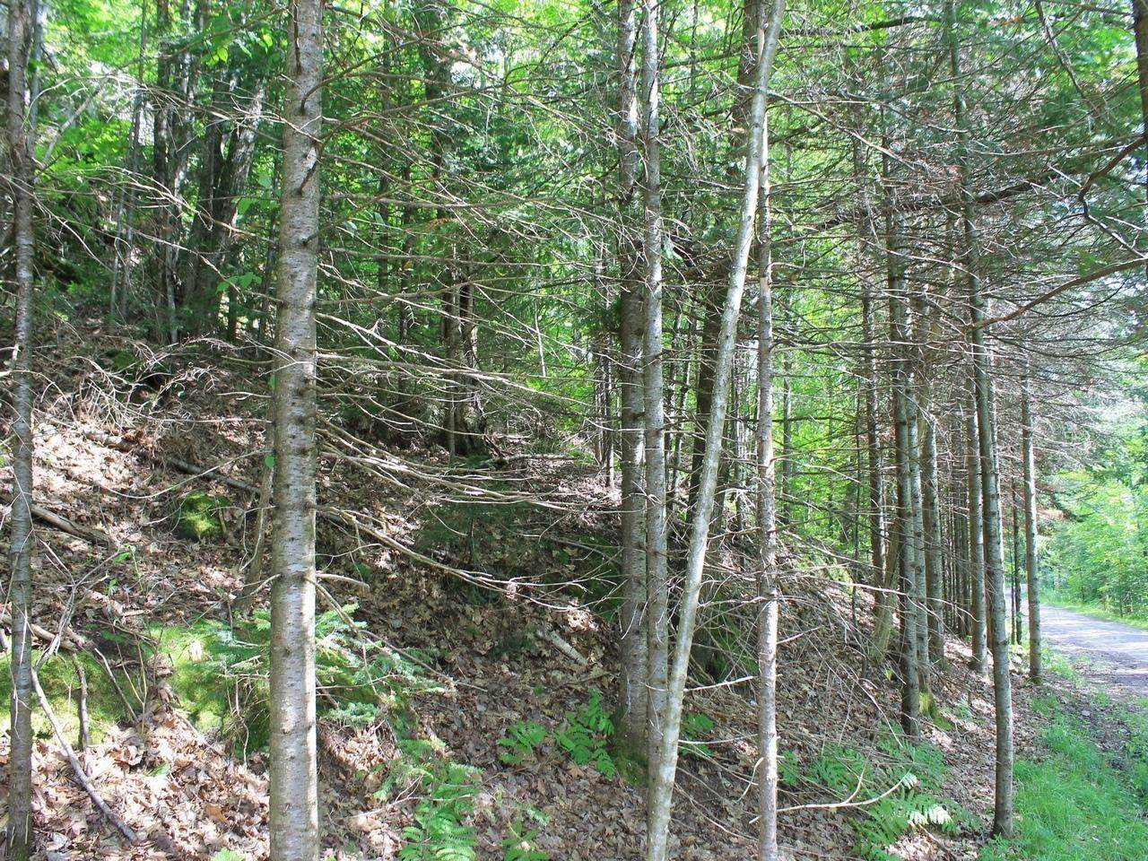 https://bt-photos.global.ssl.fastly.net/northwoods/orig_boomver_1_217494-2.jpg