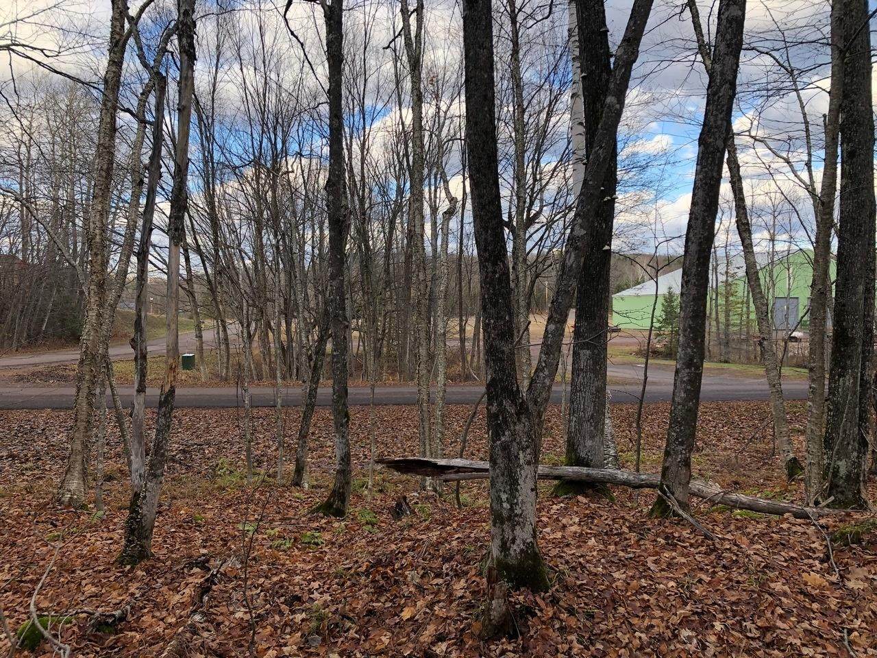 https://bt-photos.global.ssl.fastly.net/northwoods/orig_boomver_1_217495-2.jpg