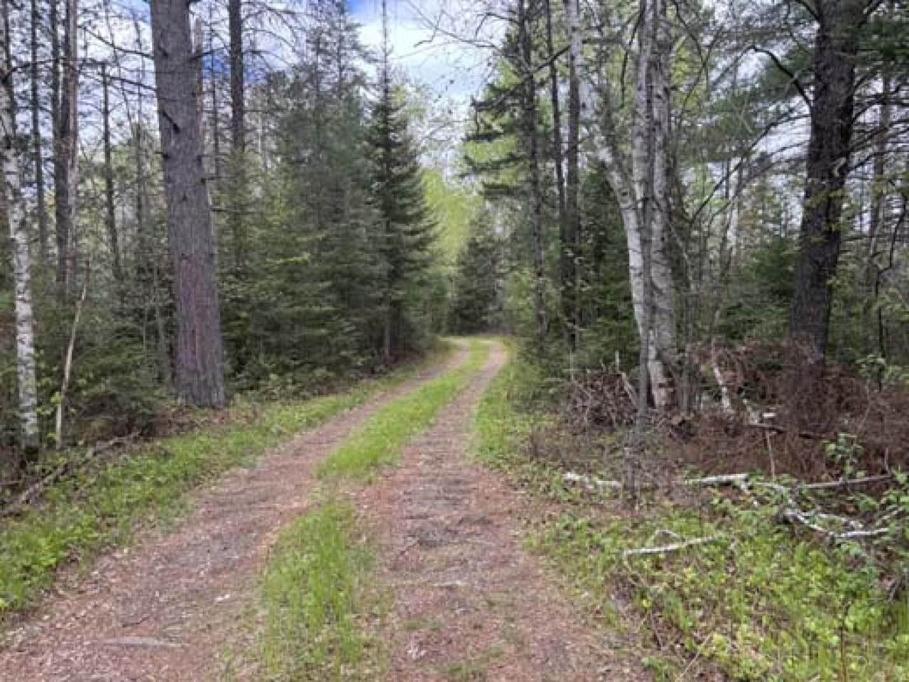 https://bt-photos.global.ssl.fastly.net/northwoods/orig_boomver_1_217532-2.jpg