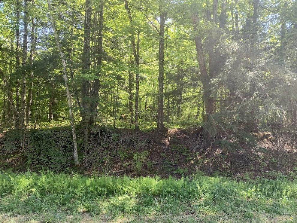 https://bt-photos.global.ssl.fastly.net/northwoods/orig_boomver_1_217611-2.jpg