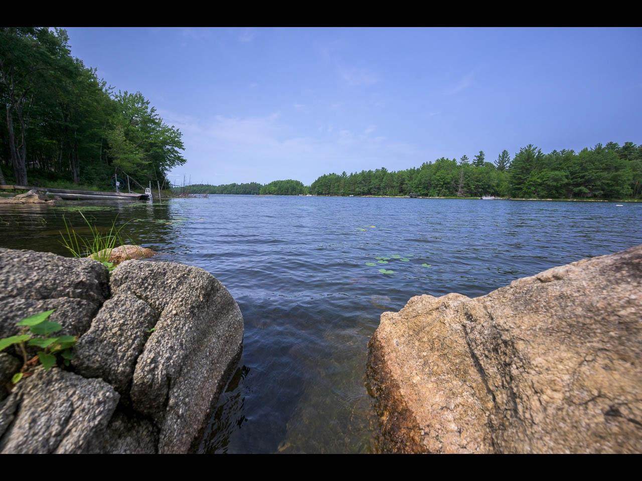 ON Bluebird Rd - Photo 1
