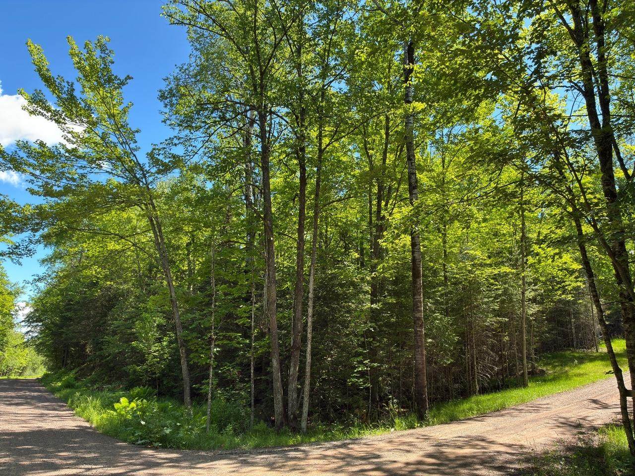 Off Boxberger Dr - Photo 1