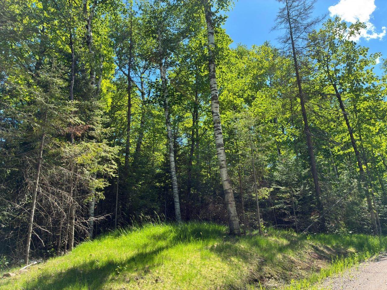 https://bt-photos.global.ssl.fastly.net/northwoods/orig_boomver_1_217857-2.jpg