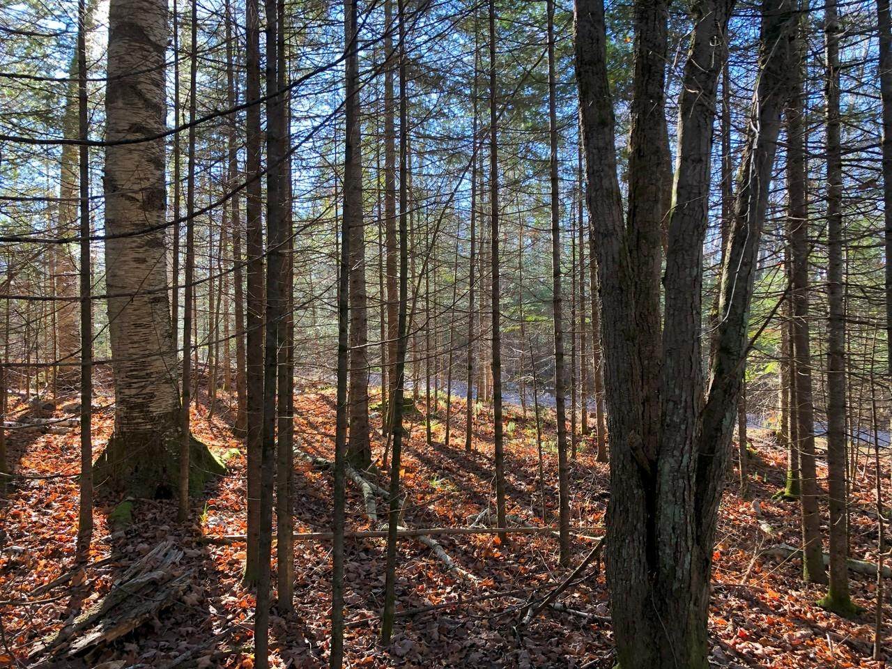 https://bt-photos.global.ssl.fastly.net/northwoods/orig_boomver_1_217857-2.jpg