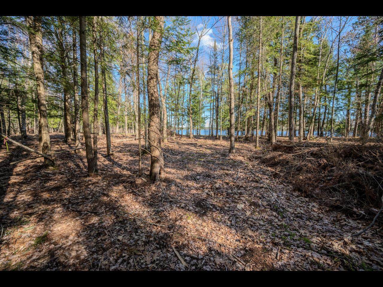 https://bt-photos.global.ssl.fastly.net/northwoods/orig_boomver_1_218074-2.jpg